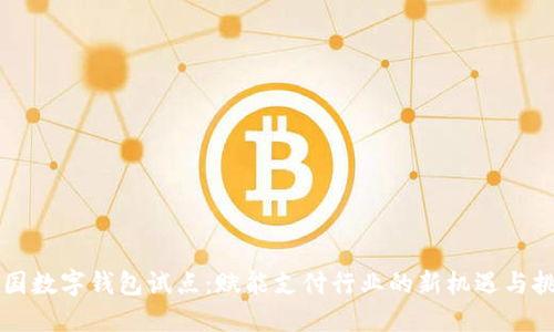 中国数字钱包试点：赋能支付行业的新机遇与挑战