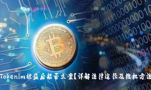 Tokenim被盗后能否立案？详解法律途径及维权方法