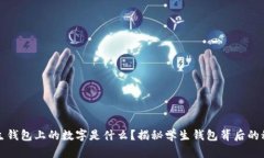 学生钱包上的数字是什么？揭秘学生钱包背后的