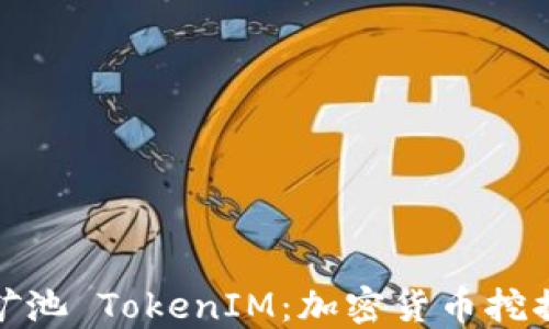 
探索星火矿池 TokenIM：加密货币挖掘的新选择