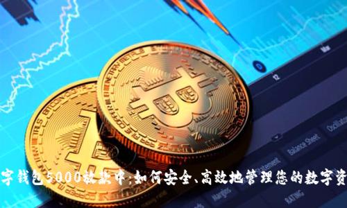 数字钱包5000放款中：如何安全、高效地管理您的数字资产