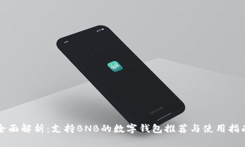 全面解析：支持BNB的数字钱包推荐与使用指南