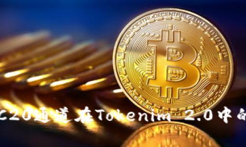 全面解析HRC20通道在Tokenim 2.0中的应用与优势