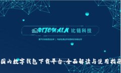 国内数字钱包下载平台：全面解读与使