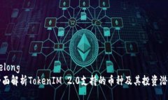 nelong 全面解析TokenIM 2.0支持的币种及其