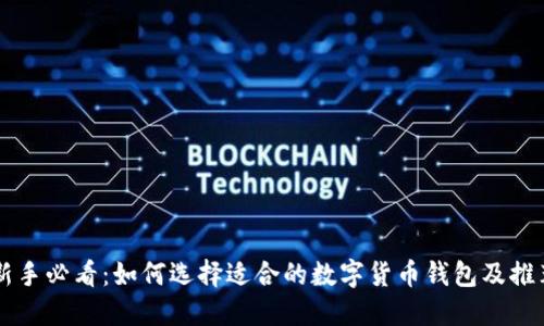 新手必看:如何选择适合的数字货币钱包及推荐