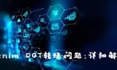 如何解决Tokenim DOT转账问题：详细解析与解决方案