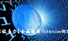 Tokenim能放多少？全面解析Tokenim的容量