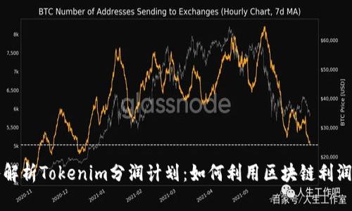 深入解析Tokenim分润计划:如何利用区块链利润分享