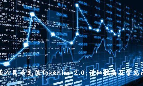 如何使用人民币充值Tokenim 2.0:详细指南及常见问题解答