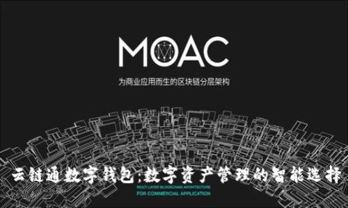云链通数字钱包:数字资产管理的智能选择