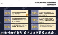 惠州数字钱包：携手未来的消费新体验