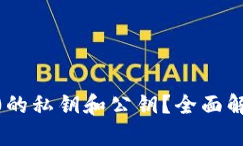 什么是Tokenim2.0的私钥和公钥?全面解析其功能与安全性