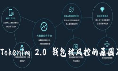 深入解析:Tokenim 2.0 钱包被风控的原因及解决办法