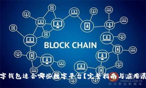 数字钱包适合哪些数字平台?完整指南与应用展望
