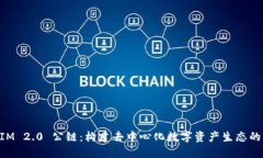 TokenIM 2.0 公链：构建去中心化数字资产