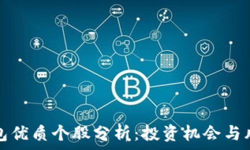   
数字钱包优质个股分析：投资机会与风险评估