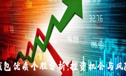   
数字钱包优质个股分析：投资机会与风险评估