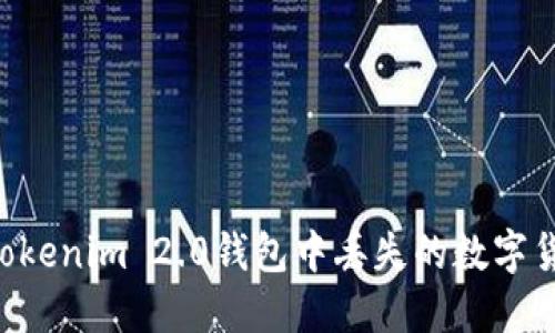 如何找回在Tokenim 2.0钱包中丢失的数字货币：全面指南