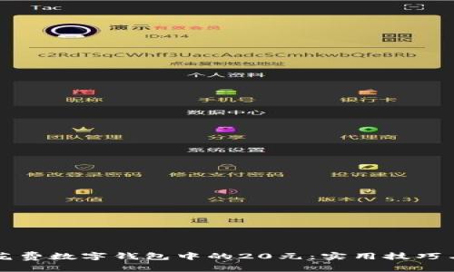 如何省钱花费数字钱包中的20元:实用技巧与消费指南