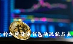 中国支持加密货币钱包的现状与未来发
