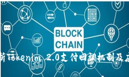 深入解析Tokenim 2.0支付回调机制及应用实例