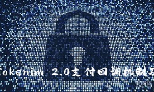 深入解析Tokenim 2.0支付回调机制及应用实例