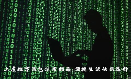 上虞数字钱包使用指南:便捷生活的新选择
