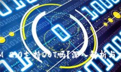 TokenIM 2.0支持DOT吗？深入解析与应用实