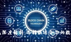 区块链主流钱包深度解析：选择最适合