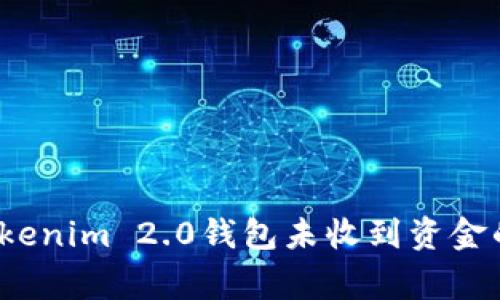 如何解决Tokenim 2.0钱包未收到资金的常见问题?