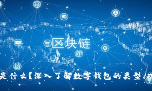 数字钱包是什么?深入了解数字钱包的类型、功能及应用