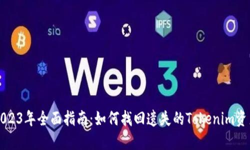 2023年全面指南：如何找回遗失的Tokenim资产