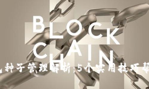 2023年数字钱包种子管理解析:5个实用技巧帮你保护资产安全