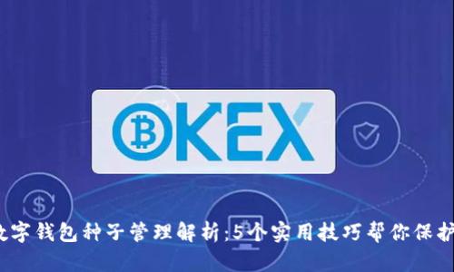 2023年数字钱包种子管理解析:5个实用技巧帮你保护资产安全