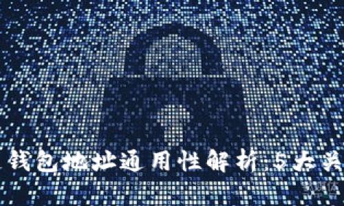 区块链钱包地址通用性解析:5大关键要素