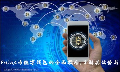 2023年：Pulas币数字钱包的全面指南，了解其优势与使用技巧