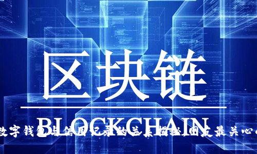 2023年：数字钱包与信用记录的关系揭秘，网友最关心的5个问题