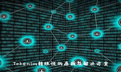 Tokenim转账慢的原因及解决方案