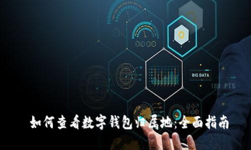  如何查看数字钱包归属地：全面指南