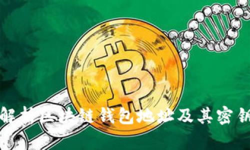 全面解析区块链钱包地址及其密钥管理
