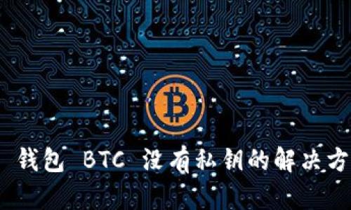 Tokenim 2.0 钱包 BTC 没有私钥的解决方案与安全实践