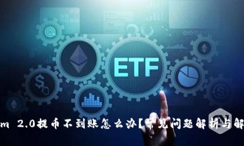 Tokenim 2.0提币不到账怎么办？常见问题解析与解决方案