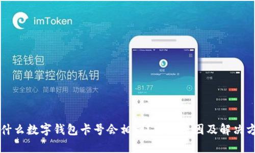 为什么数字钱包卡号会相同？分析原因及解决方案