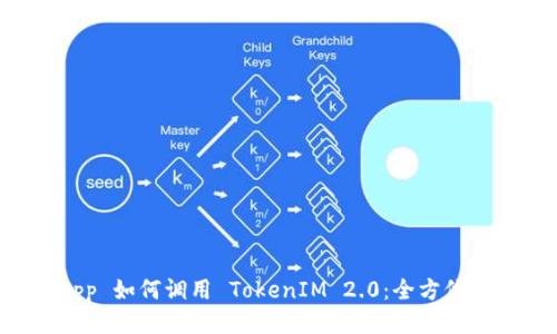 DApp 如何调用 TokenIM 2.0:全方位指南
