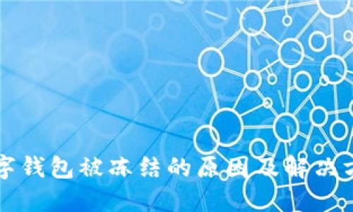 兴业数字钱包被冻结的原因及解决方案详解
