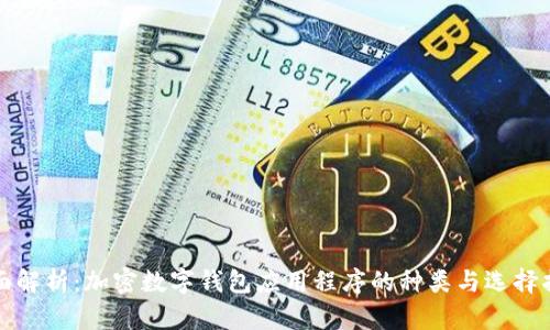 全面解析：加密数字钱包应用程序的种类与选择指南