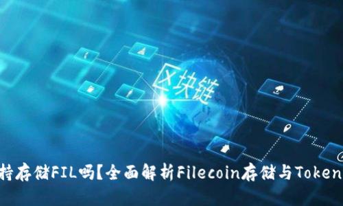 Tokenim支持存储FIL吗？全面解析Filecoin存储与Tokenim的兼容性