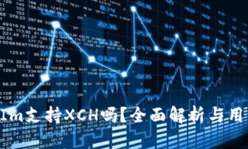 TokenIm支持XCH吗？全面解析与用户指南