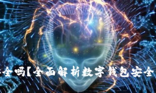 放数字钱包安全吗？全面解析数字钱包安全性与使用风险